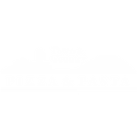 Town and Country Logo